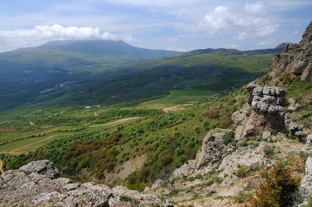 Foreground huge stone covered with moss, trees on the side of mountain, green grass in valley