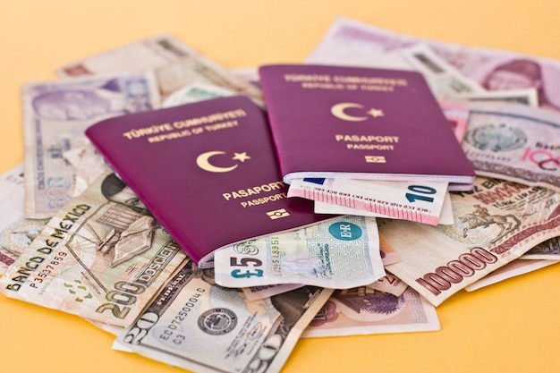 Foreign passports and money from different European countries