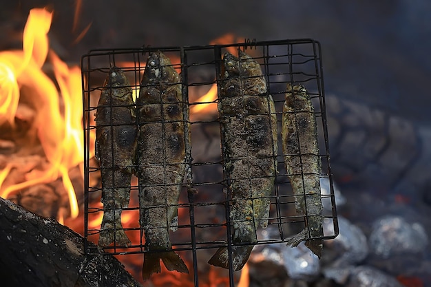 forel grill op houtskool / gebakken vis forel op kolen, trek food