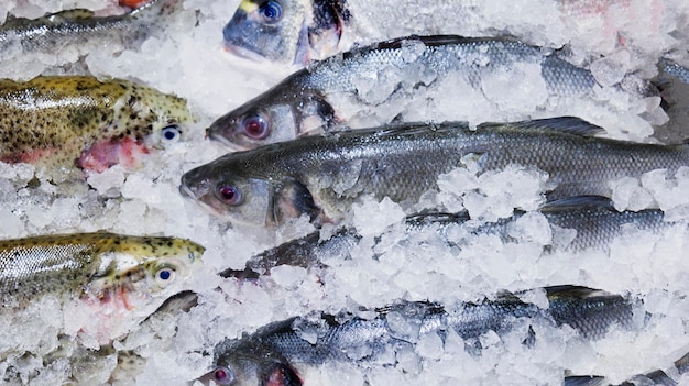 Forel in ijs op een supermarktplank. gekoelde vis.