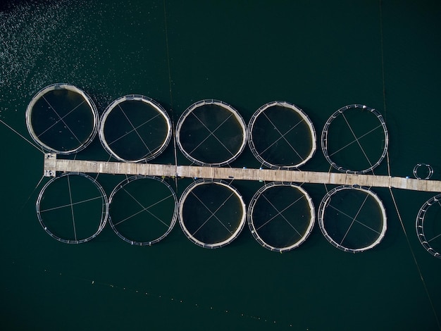 Forelviskwekerij in de luchtfoto van de rivier
