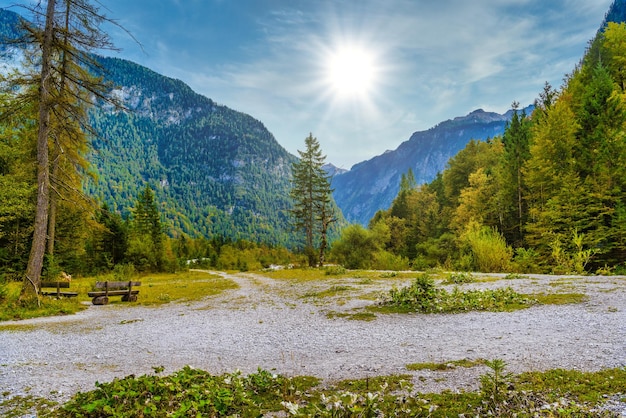 Koenigsee Konigsee Berchtesgaden 국립 공원 바이에른 독일 근처 알프스 산맥의 숲