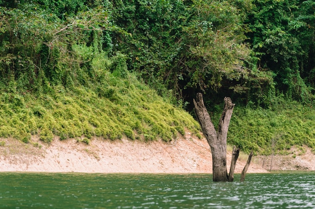 写真 ハラバラ野生生物保護区での森林と水の風景