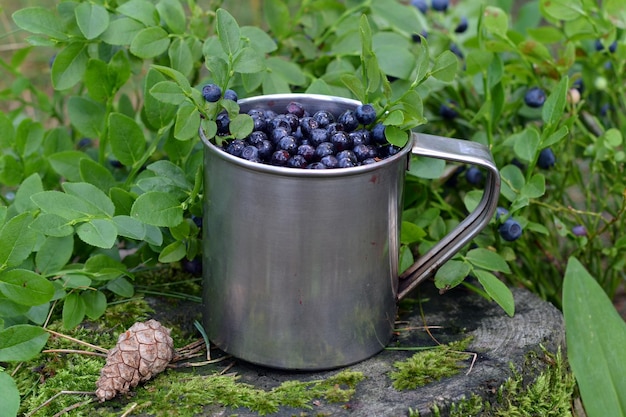 Forest berries mug with blueberries