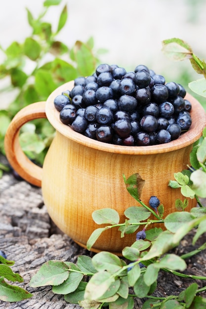 Forest blueberries in a large, wooden bowl