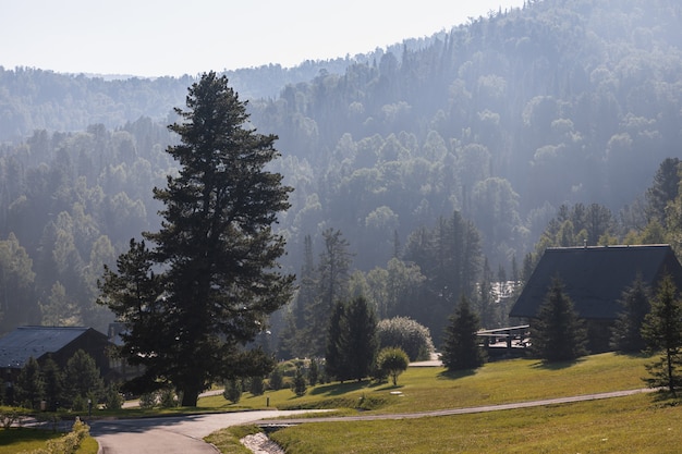 forest building and roads in the morning sun in Altai