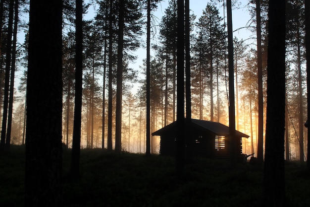 A forest cabin by the lake at sunset