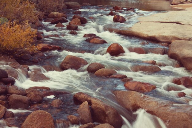 Photo the forest creek in autumn