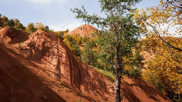 Forest environment in autumn 3d rendering