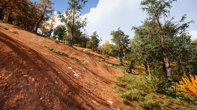 Forest environment in autumn 3d rendering