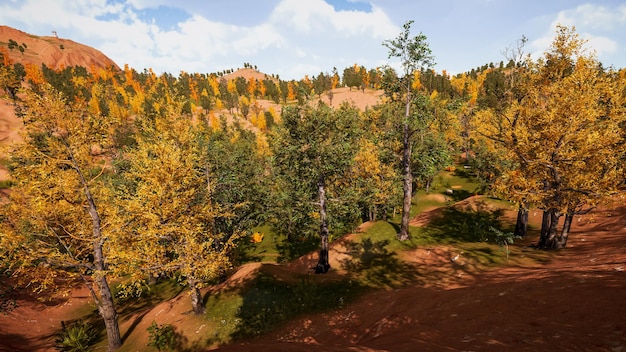 Forest environment in autumn 3d rendering