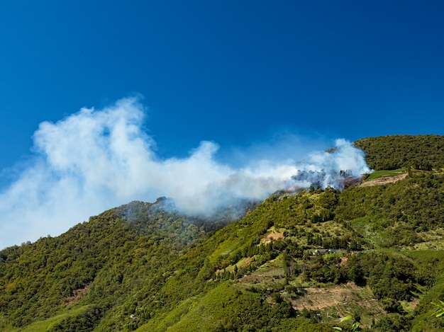 The forest fire in Taiwan.