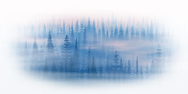 Forest in the fog in a white vignette taiga in the morning light