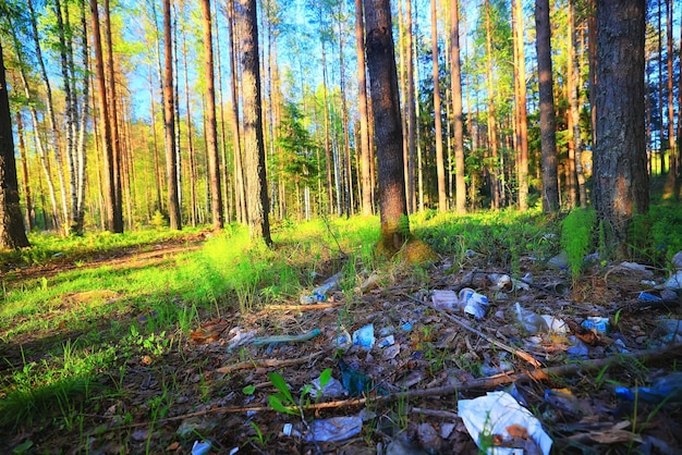 Forest garbage dump ecology concept, pollution nature\
protection of forest from garbage