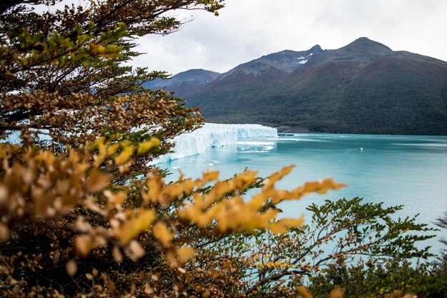 Photo forest and glacial lake against snowcapped mountains