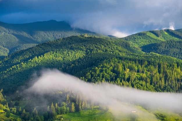 写真 山の森 夏の山の森 夏の自然の風景 霧の森 田園風景 山の風景画像