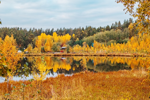 Forest lake in autumn. Colorful autumn landscape, tranquility, travel.