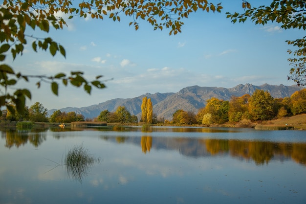 Forest next to lake landscape