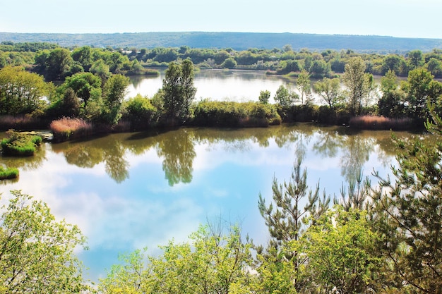 Forest lake landscape