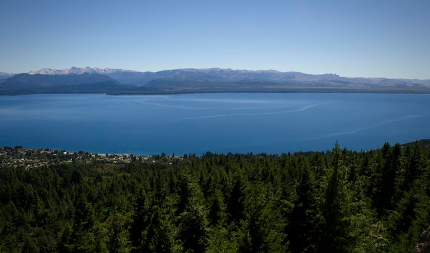 Forest and lake nahuel huapi in bariloche