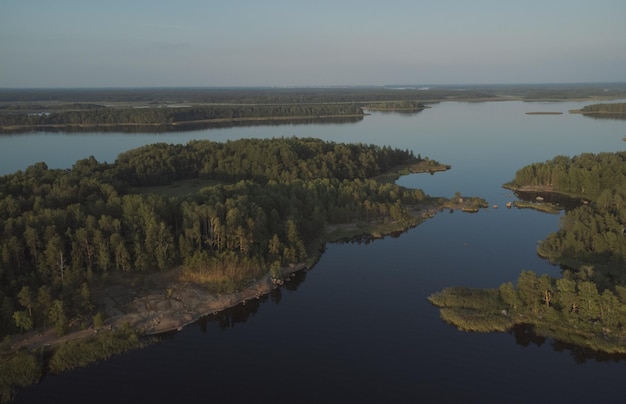 Forest lake system Air view