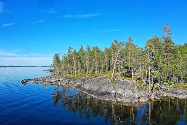 forest lake top view, landscape nature view forest, background