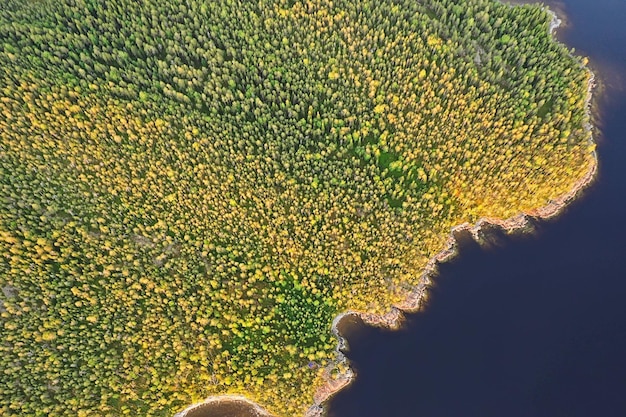 forest lake top view, landscape nature view forest, background