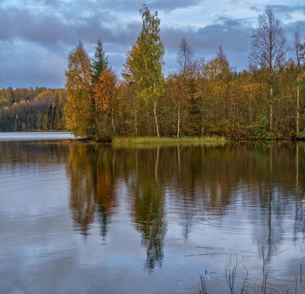 写真 晩秋のロシア北部の森の風景と湖