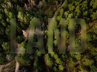 Photo forest landscape with glass effect