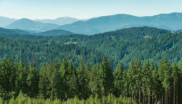 Лесной пейзаж с горами и деревьями