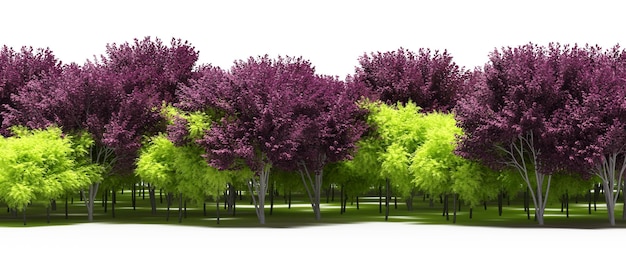 흰색 배경, 3D 그림, cg 렌더링에 격리된 나무 아래 그림자가 있는 숲 줄