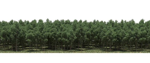 흰색 배경, 3D 그림에 격리된 나무 아래 그림자가 있는 숲 줄
