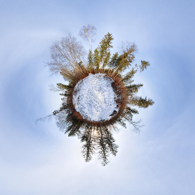 Foto piccolo pianeta boscoso con cielo blu