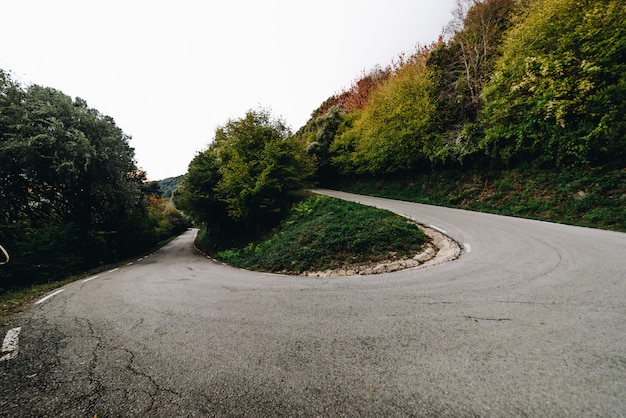 写真 林道