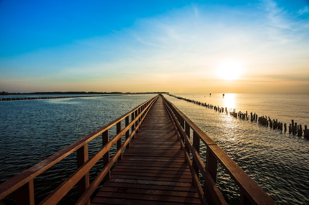 The forest mangrove with wooden walkway bridgeRed bridge and bamboo line