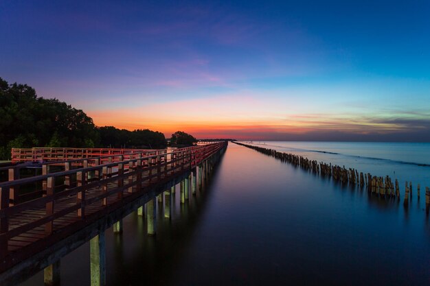 The forest mangrove with wooden walkway bridgeRed bridge and bamboo line