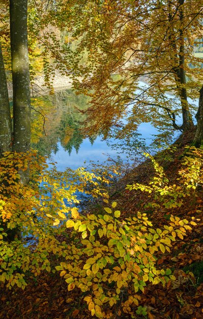 Forest meadow on shore of picturesque lake Vilshany water reservoir on the Tereblya river Transcarpathia Ukraine Beautiful autumn day in Carpathian Mountains