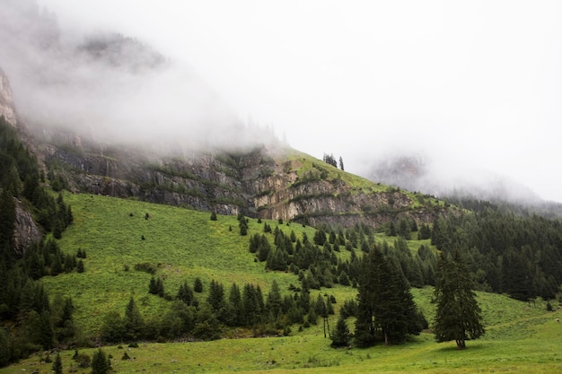 Forest and mountain in Kaunergrat nature park near Pitztal Valley and Kaunertal Valley and Inntal Valley while snowing in Tyrol Austria