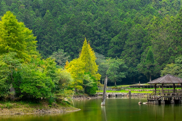 삼림과 산 호수 Mingchi Yilan County Taiwan은 유명한 관광 명소입니다.