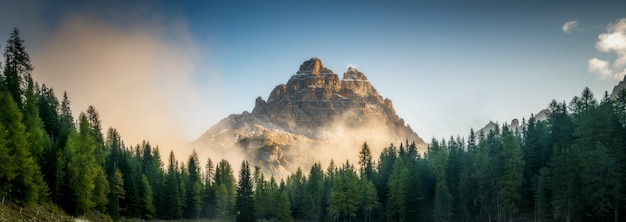 Forest and mountain range at sunrise landscape.