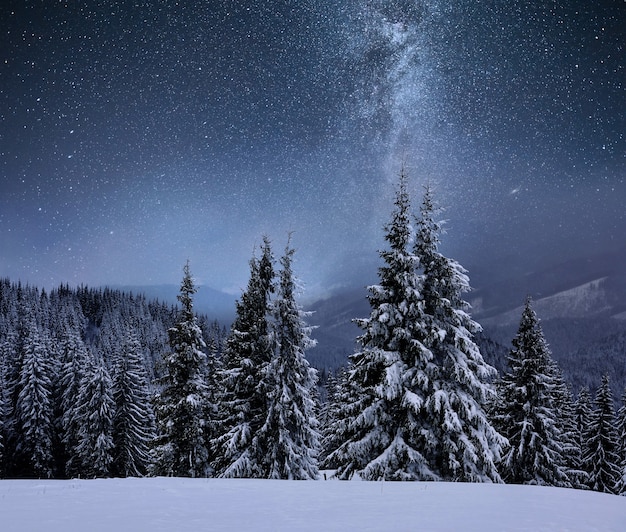 Foresta su un crinale di montagna ricoperta di neve. via lattea in un cielo stellato. notte d'inverno di natale.