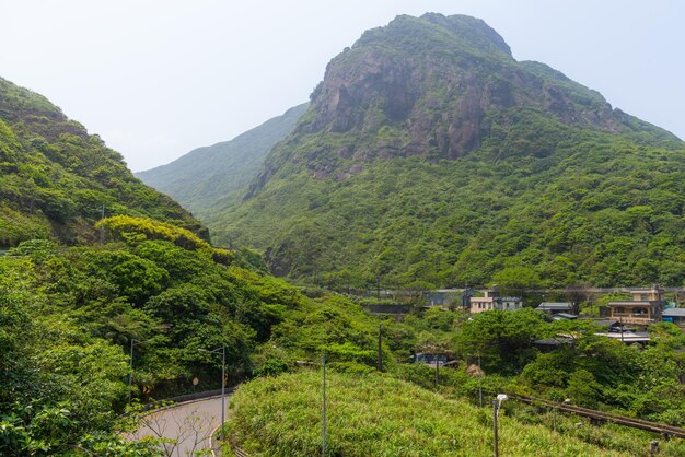 Forest mountain with the village