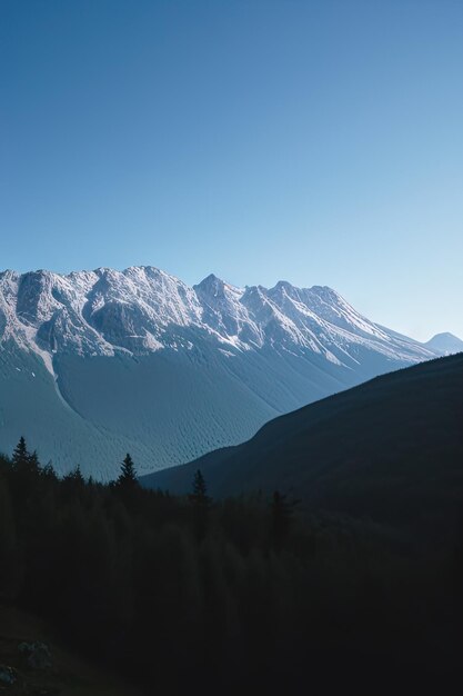 Forest and mountains in America