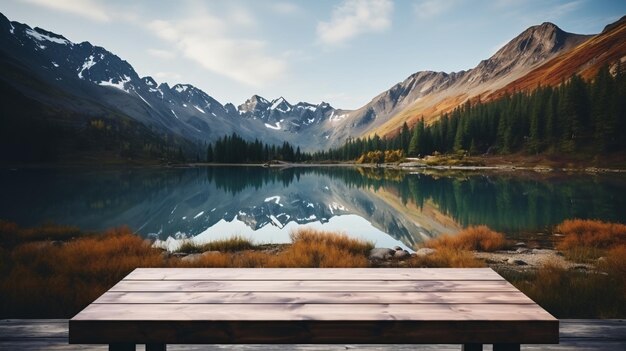 Forest and mountains