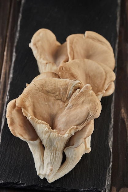 Forest mushrooms on black stone on wooden background