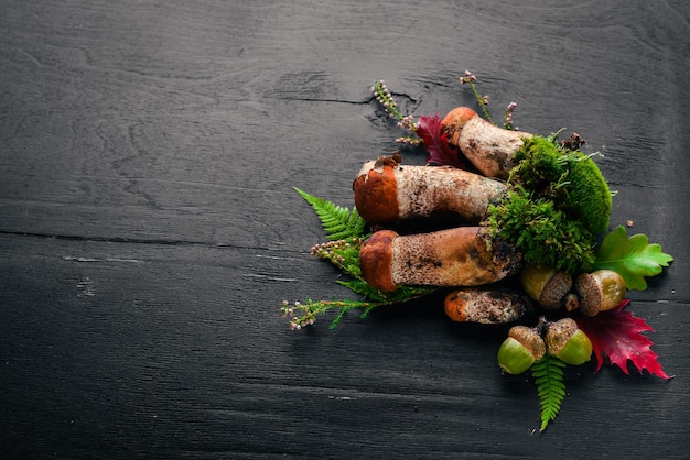 Forest mushrooms on a black wooden background Top view Free space for text