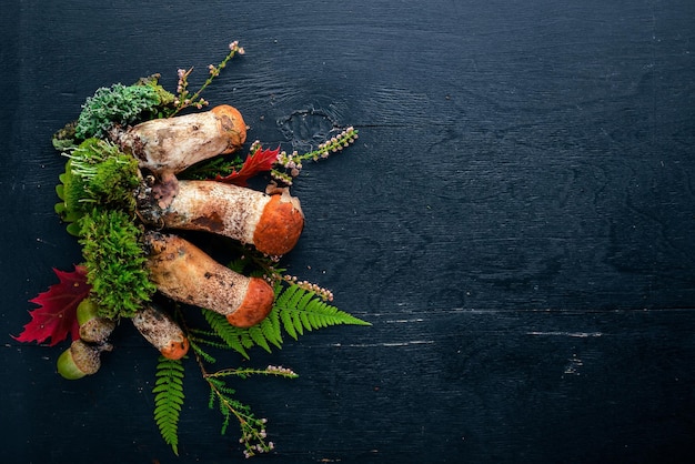 Forest mushrooms on a black wooden background Top view Free space for text