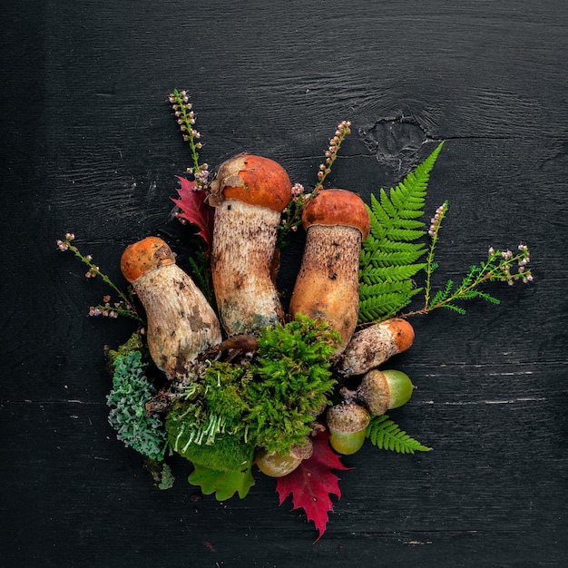 Forest mushrooms on a black wooden background Top view Free space for text