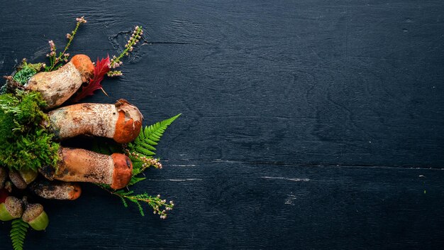 Forest mushrooms on a black wooden background Top view Free space for text