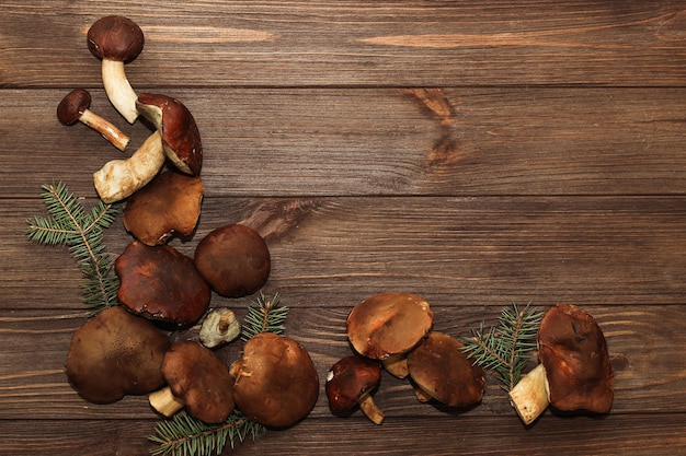 Funghi di bosco boletus edulis e boletus badius su fondo di legno con spazio per il testo